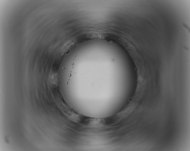 X0000103440096200809191734