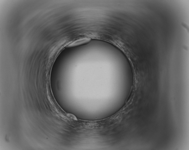 X0000103440097200809191734