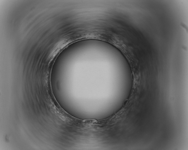 X0000103440098200809191734
