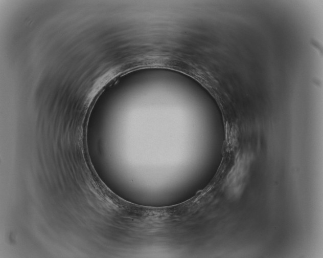X0000103440099200809191734