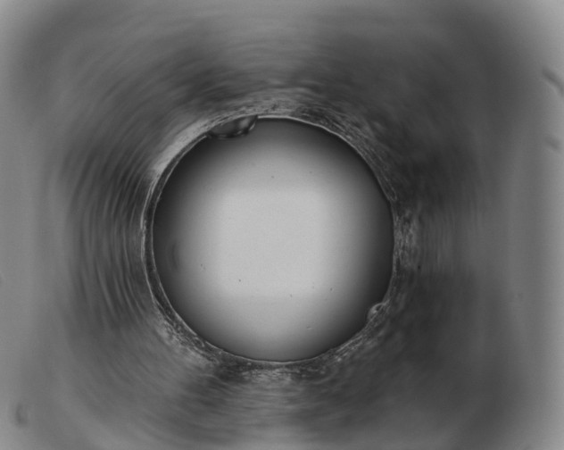 X0000103440100200809191734