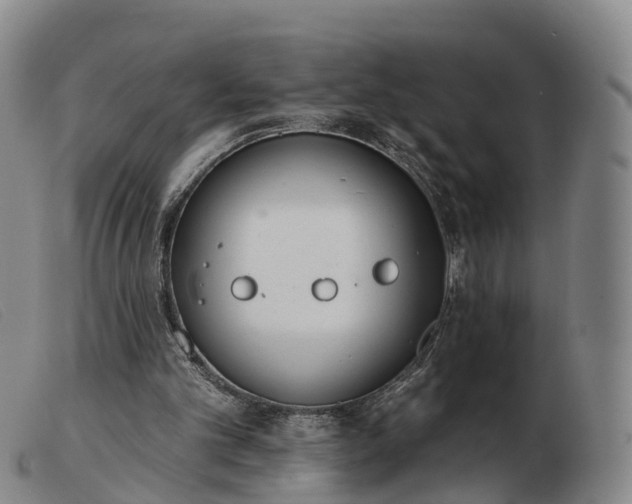 X0000103440101200809191734