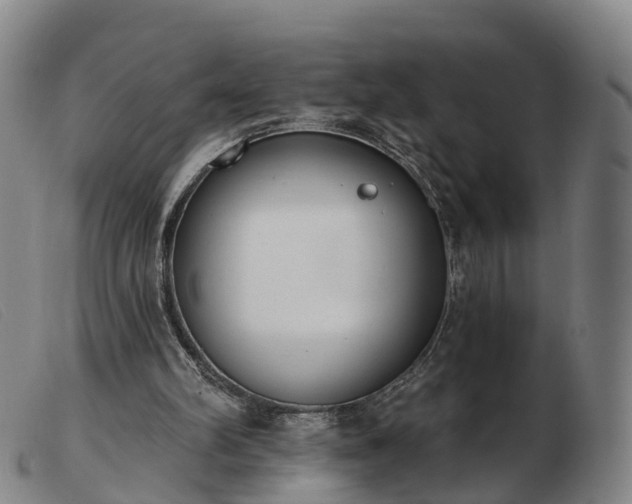 X0000103440102200809191734