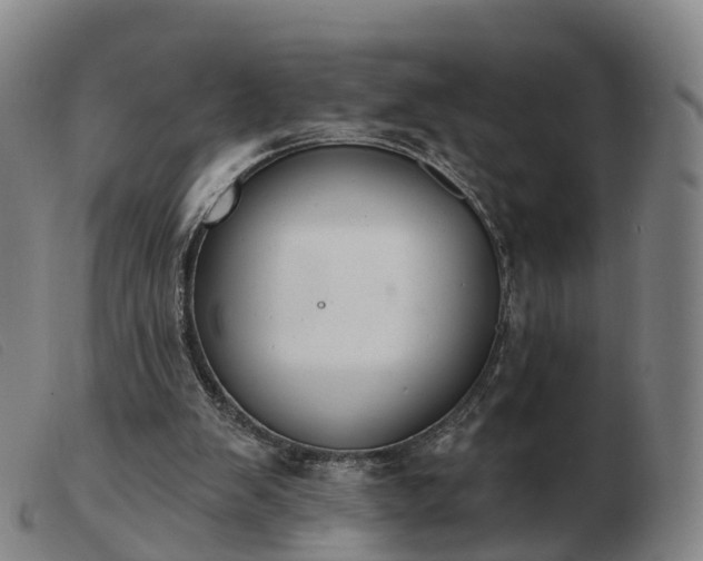 X0000103440103200809191734