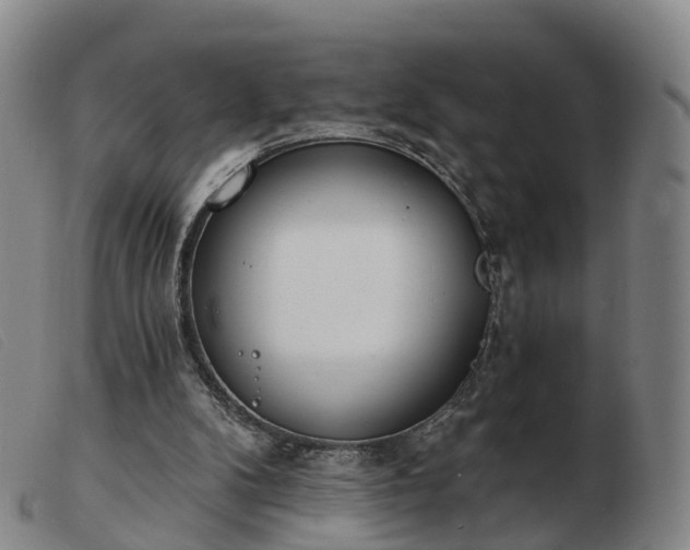 X0000103440104200809191734