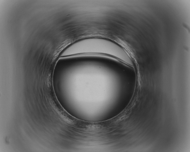 X0000103440105200809191734