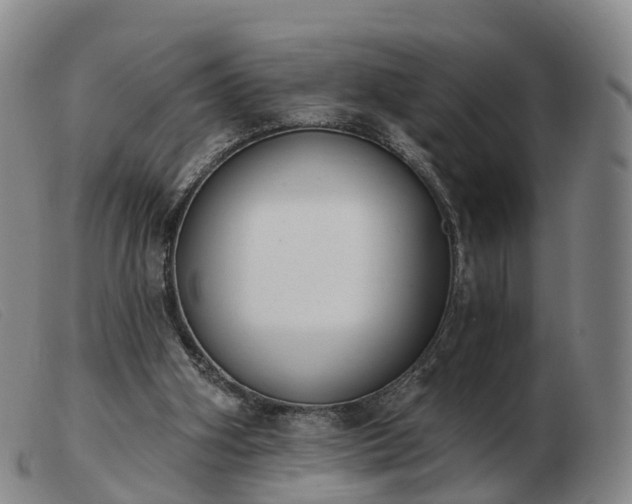 X0000103440106200809191734