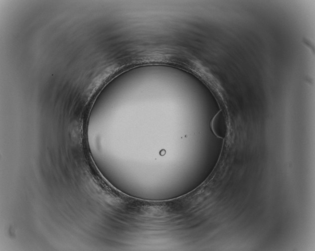 X0000103440107200809191734