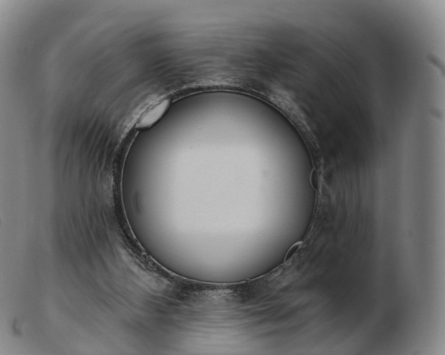 X0000103440108200809191734