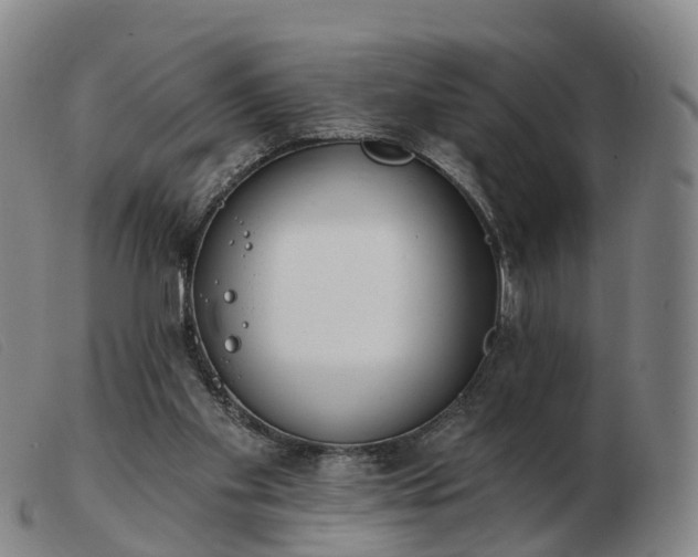 X0000103440109200809191734