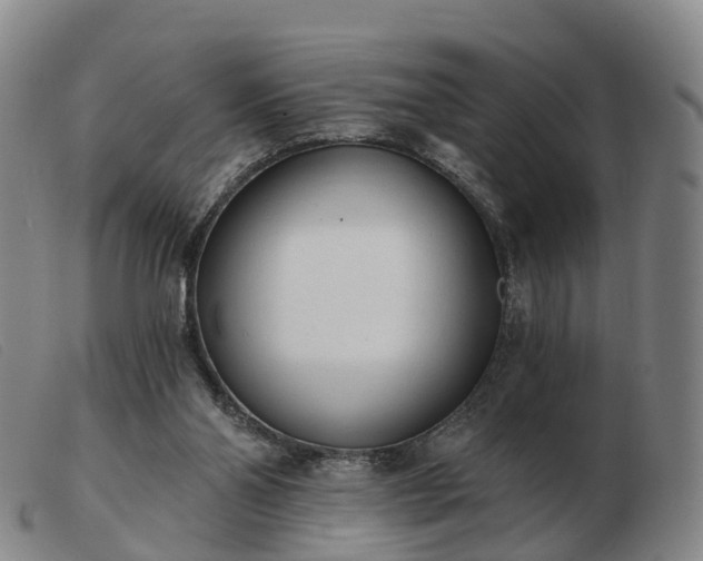X0000103440110200809191734