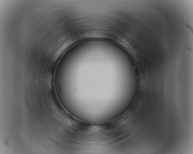 X0000103440111200809191734