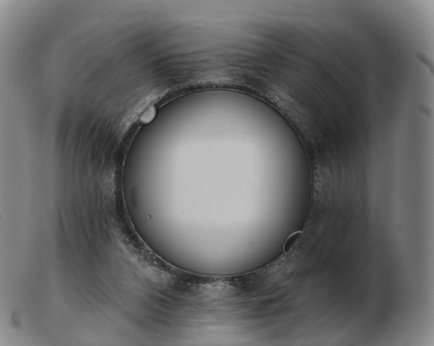 X0000103440112200809191734