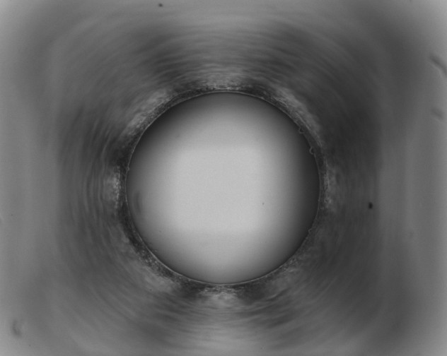 X0000103440113200809191734
