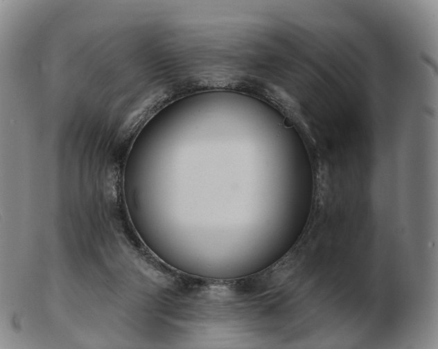X0000103440114200809191734