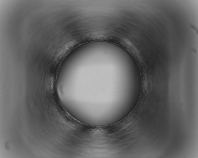 X0000103440115200809191734