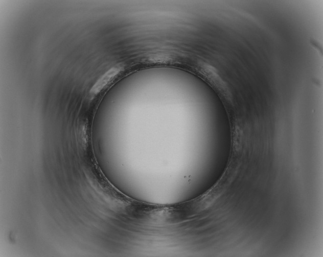 X0000103440116200809191734