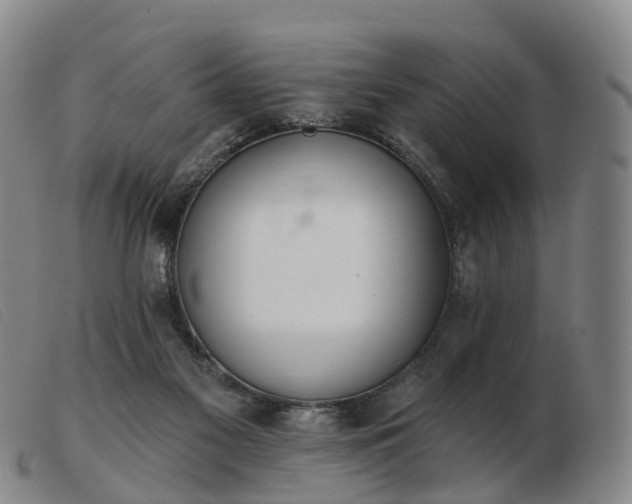 X0000103440117200809191734