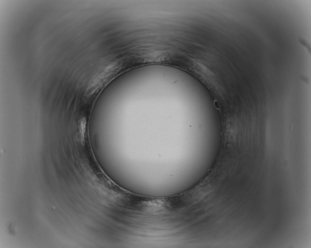 X0000103440118200809191734