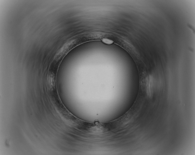 X0000103440119200809191734