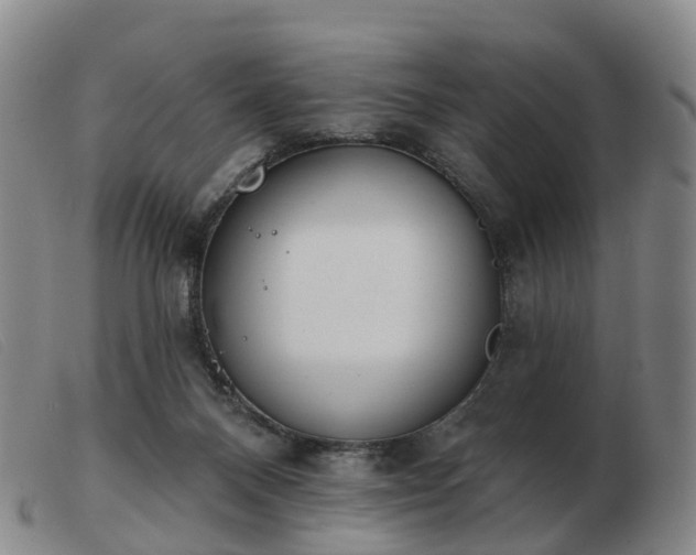 X0000103440120200809191733