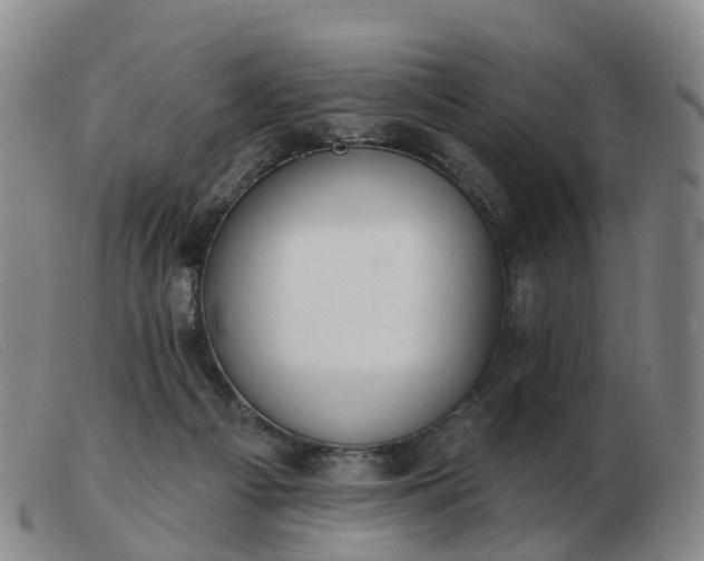 X0000103440121200809191733