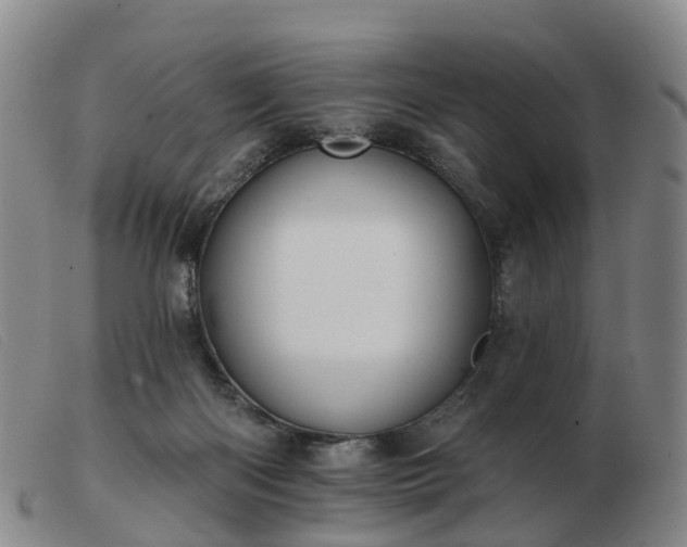 X0000103440122200809191733