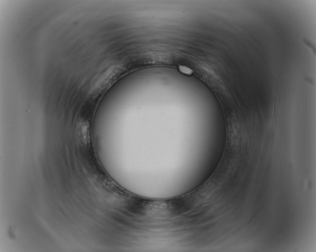 X0000103440123200809191733