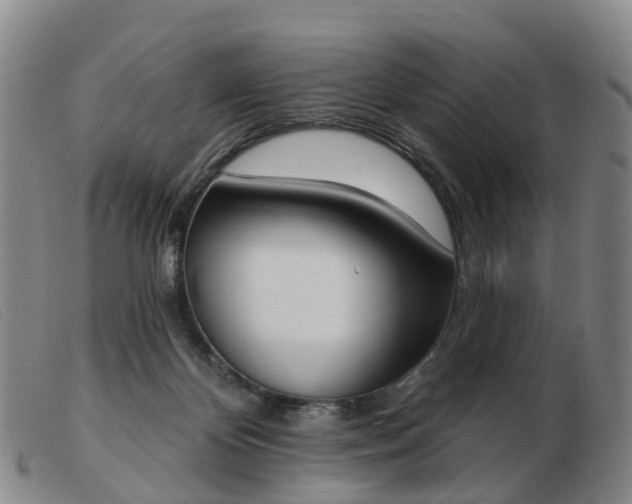 X0000103440124200809191733