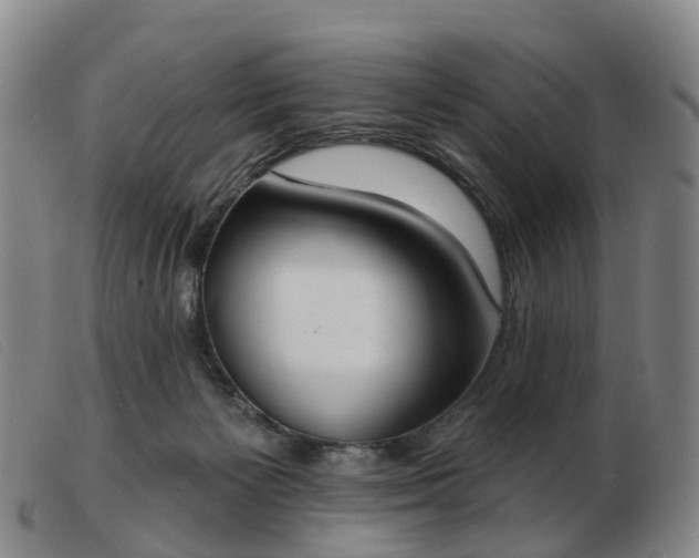 X0000103440125200809191733