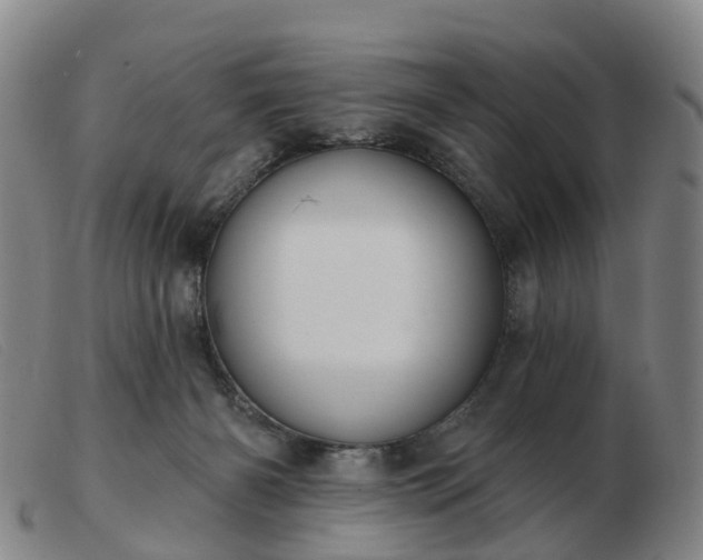X0000103440126200809191733