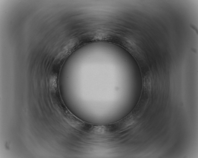X0000103440127200809191733