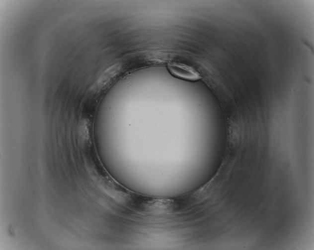 X0000103440128200809191733