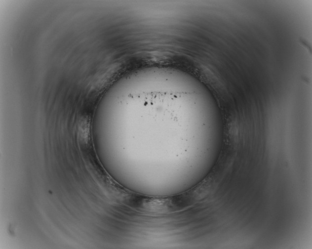 X0000103440129200809191733