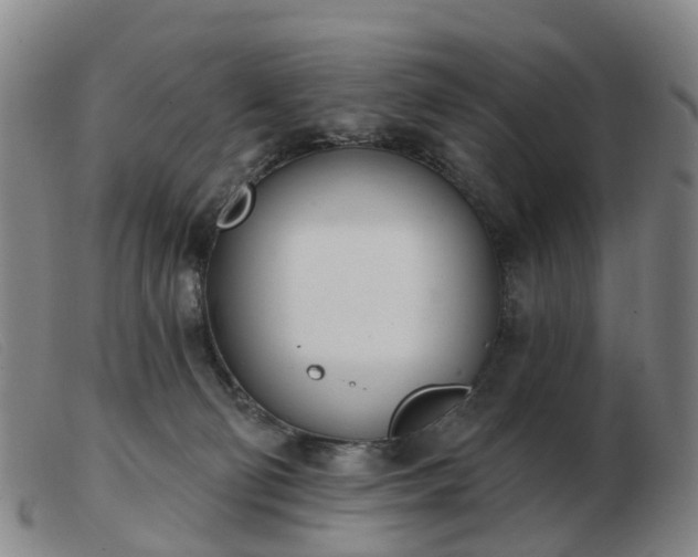 X0000103440130200809191733