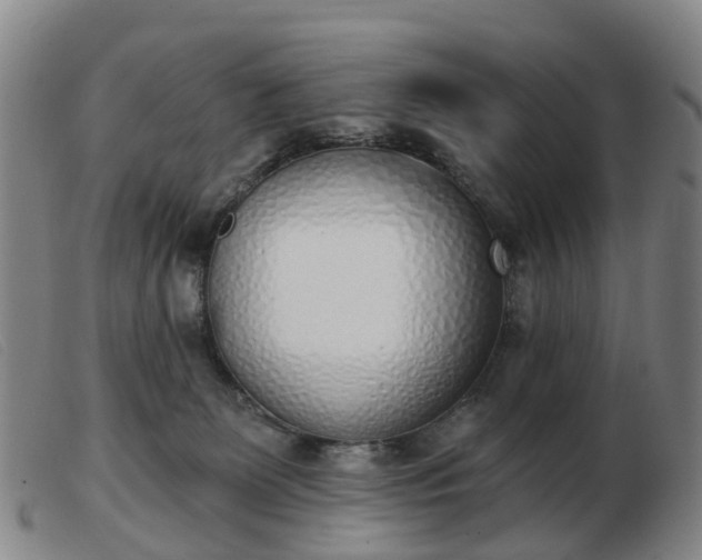 X0000103440131200809191733