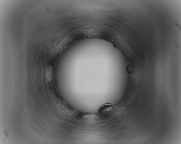 X0000103440133200809191733