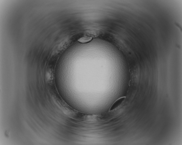 X0000103440134200809191733