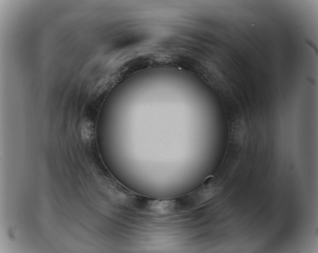 X0000103440135200809191733