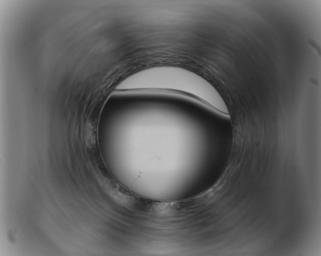X0000103440136200809191733