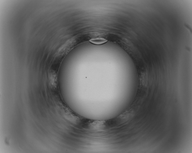 X0000103440138200809191733