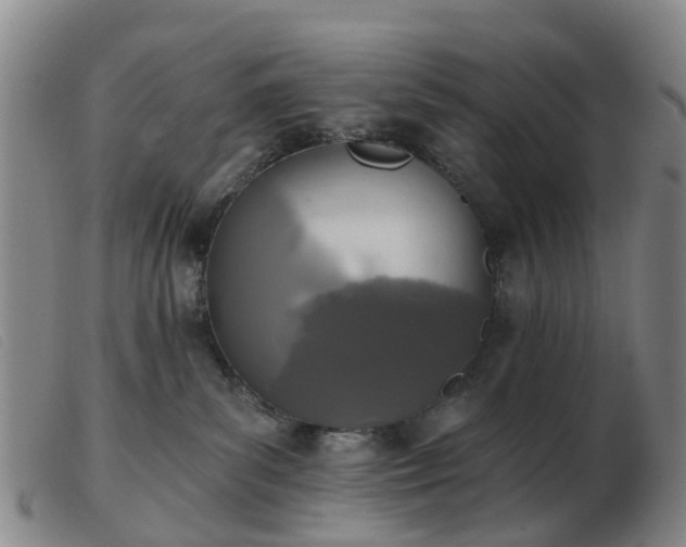 X0000103440139200809191733
