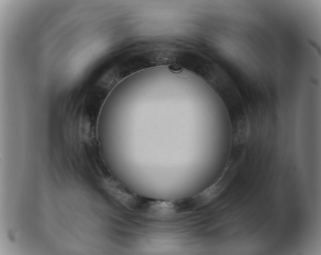 X0000103440140200809191733
