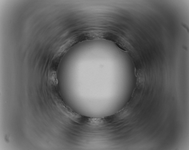 X0000103440141200809191733