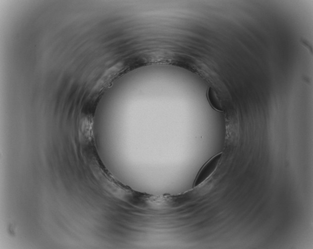 X0000103440142200809191733
