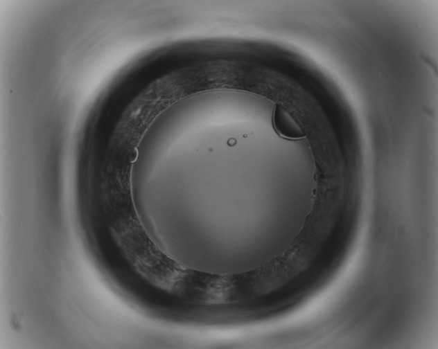 X0000103440143200809191733