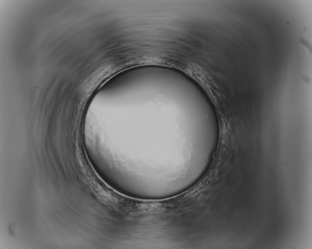 X0000103440145200809191732