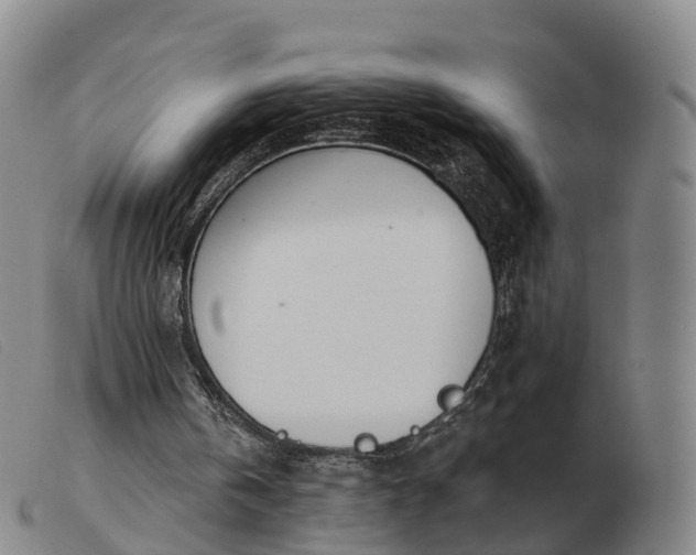 X0000103440146200809191733