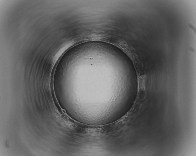 X0000103440147200809191733