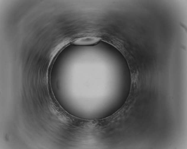 X0000103440148200809191733